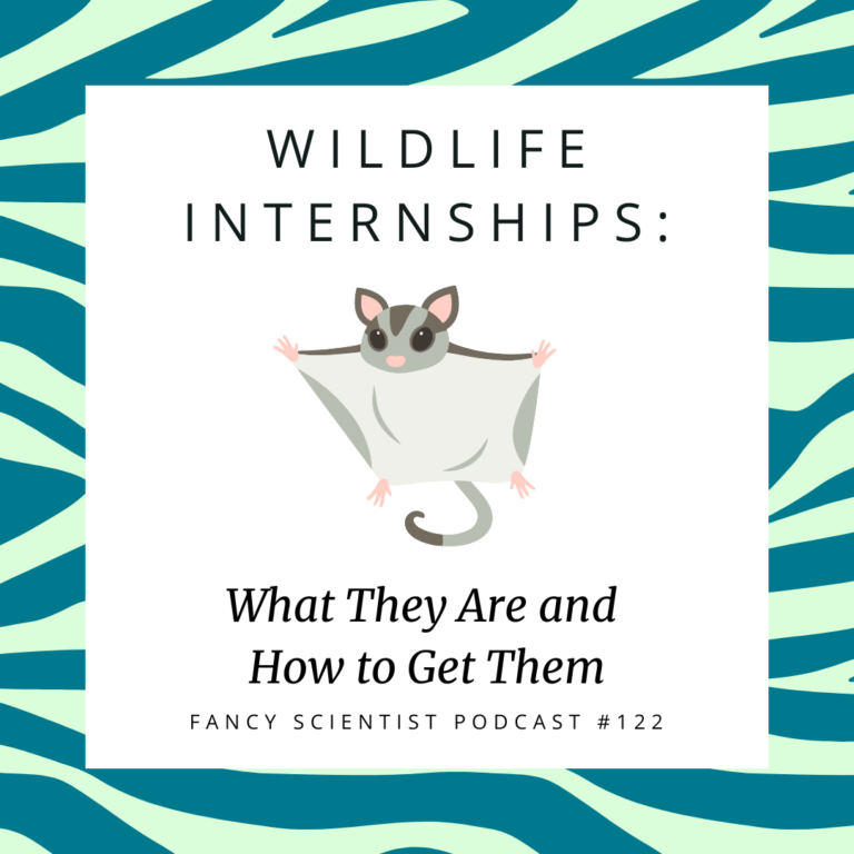 Wildlife Internships Podcast