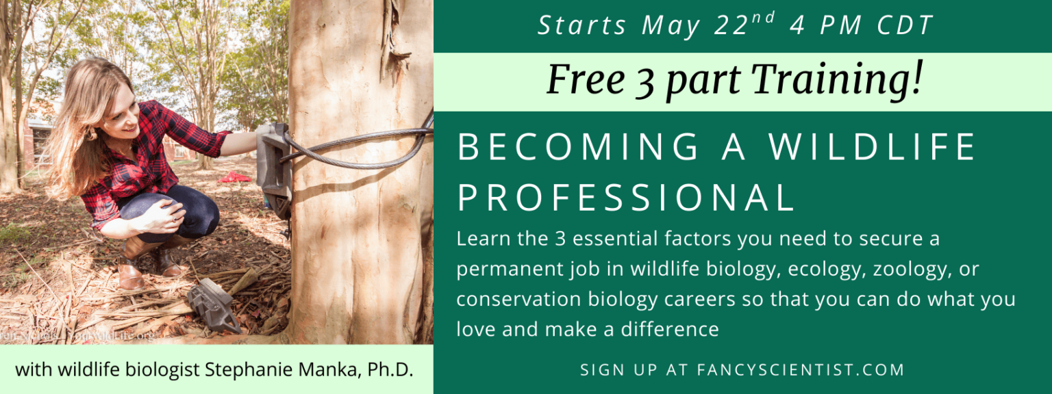 Becoming a wildlife professional-2