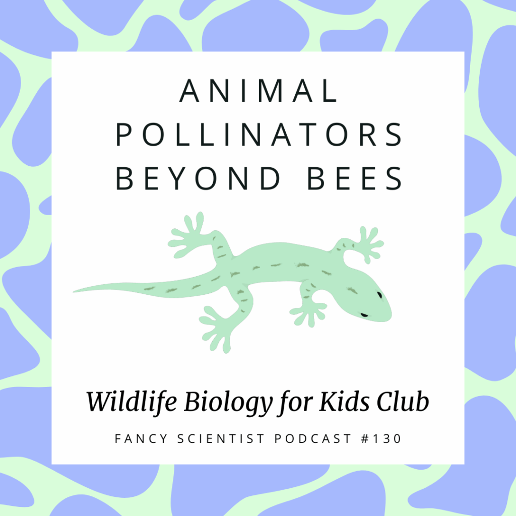 Animal Pollinators beyond bees fancy scientist podcast 130