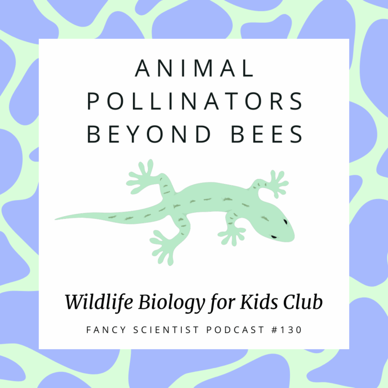 Animal Pollinators beyond bees fancy scientist podcast 130