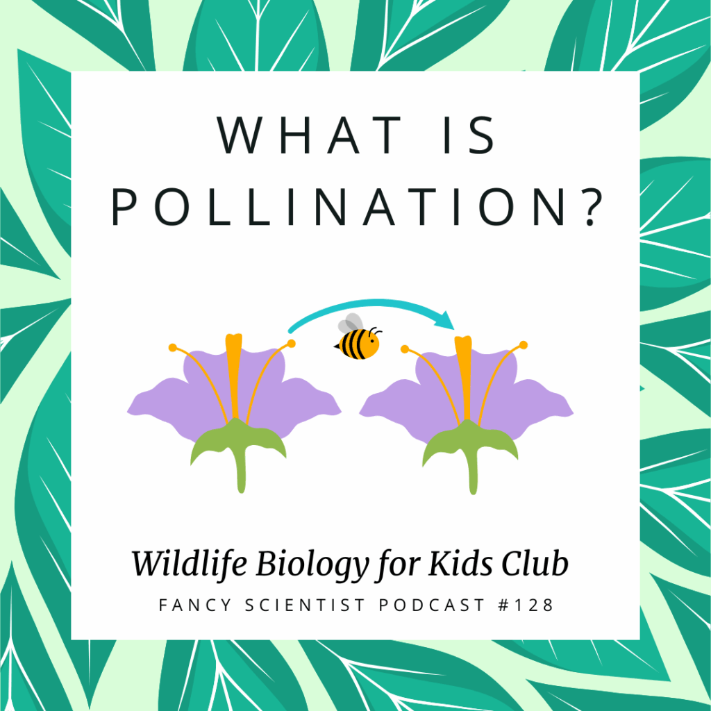 Fancy scientist podcast 128 what is pollination