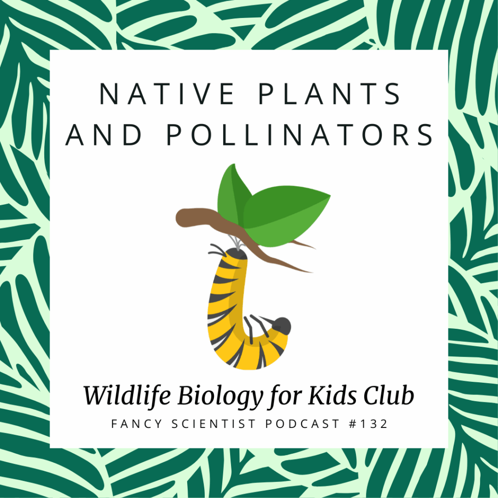 Fancy Scientist Podcast 132 Native Plants and Pollinators