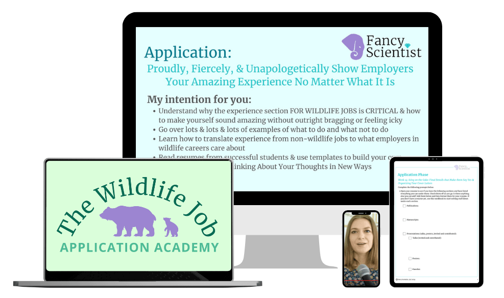 Wildlife Job Application Academy