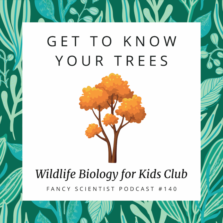 Get To Know Your Trees Podcast