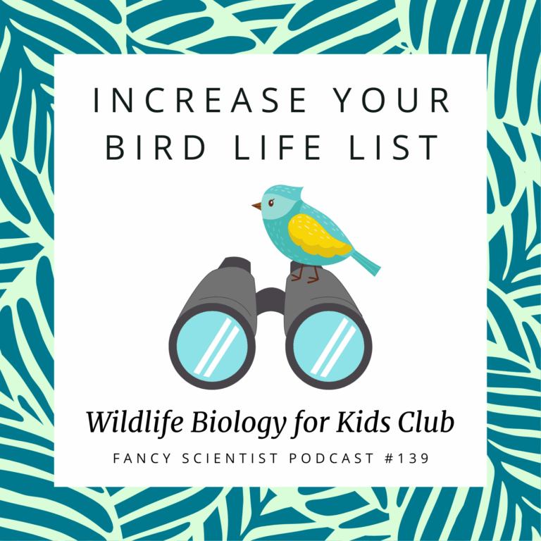 Increase Your Bird Life List