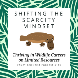 Shifting The Scarcity Mindset