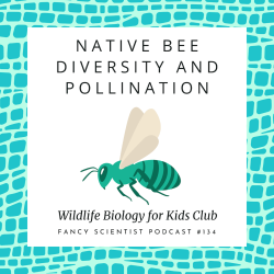 Native Bee Diversity and Pollination